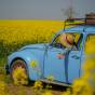 Top 5 Ausflugsziele im Frühling  