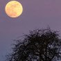 Der Blue Moon – 2 Vollmonde im&nbsp;Mai