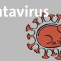 Der Hantavirus – klein aber&nbsp;gefährlich